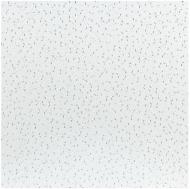 Плита підвісної стелі AMF Ecomin Trento board KCS 600х600х13 мм